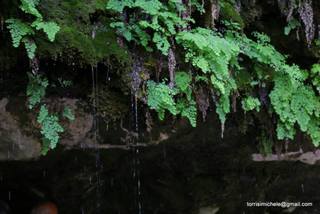 ldaia del Drago25-07-2015 20-18-01